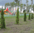 DSCN5135.JPG - Перемышльский район